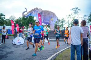 BIB: 
                            <button type="button" onclick="openModal(26551645)" class="btn btn-primary btn-sm float-right btn-popup" data-toggle="modal" data-target=".modal-high-quality">
                        <i class="fas fa-shopping-cart"></i> Add to Cart
                    </button>
                                            <button type="button" onclick="isThisMe(26551645, true)" class="btn btn-success btn-sm float-right btn-popup btn-isme hidden" data-toggle="tooltip" data-placement="bottom" title="นี่คือรูปของคุณใช่ไหม คลิกที่นี่เพื่อเอาเข้าอัลบั้ม">
                        <i class="fas fa-plus"></i> Add to album
                    </button>
                    <button type="button" onclick="isThisMe(26551645, false)" class="btn btn-warning btn-sm float-right btn-popup btn-isnotme hidden">
                        <i class="fas fa-ban"></i> Remove from album
                    </button>